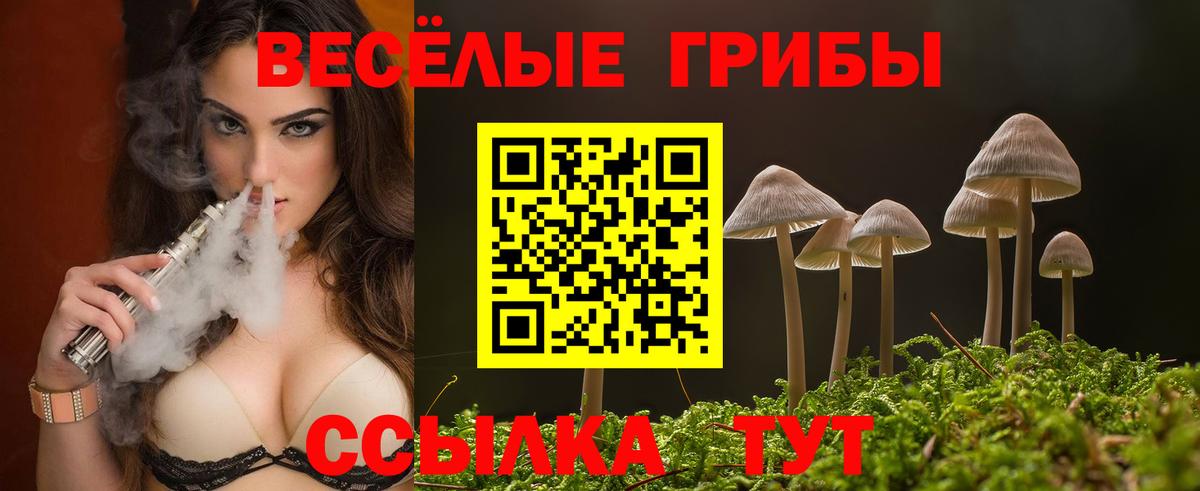 Электросталь  Псилоцибиновые грибы GOLDEN TEACHER  Галлюциногенные грибы прущие грибы  Вход с VPN 